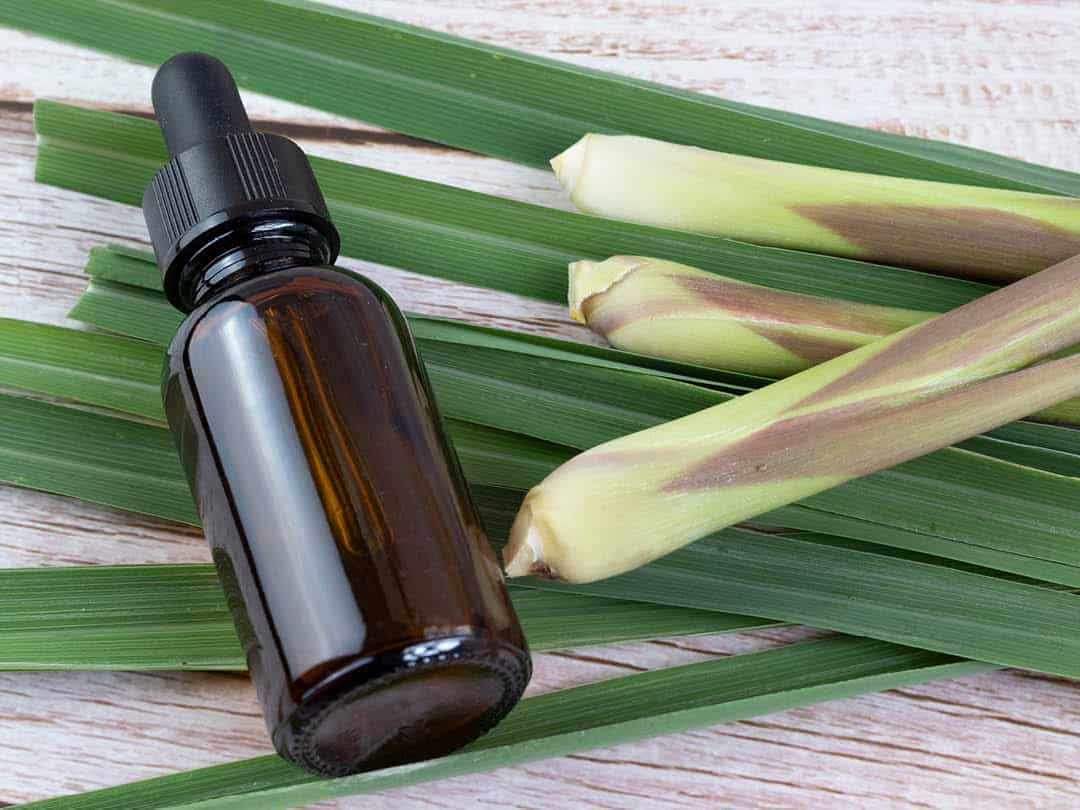 Lemongrass and oil bottle