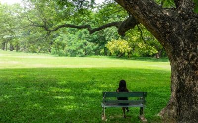 Chapter 3 – The Forgotten Art of Doing Nothing