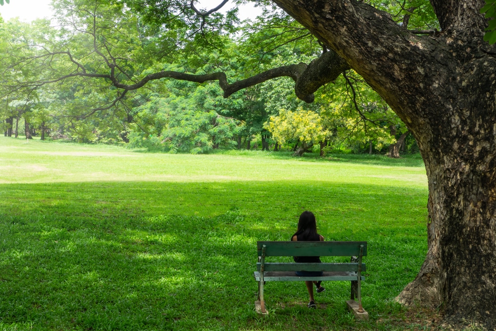 The girl on the bench